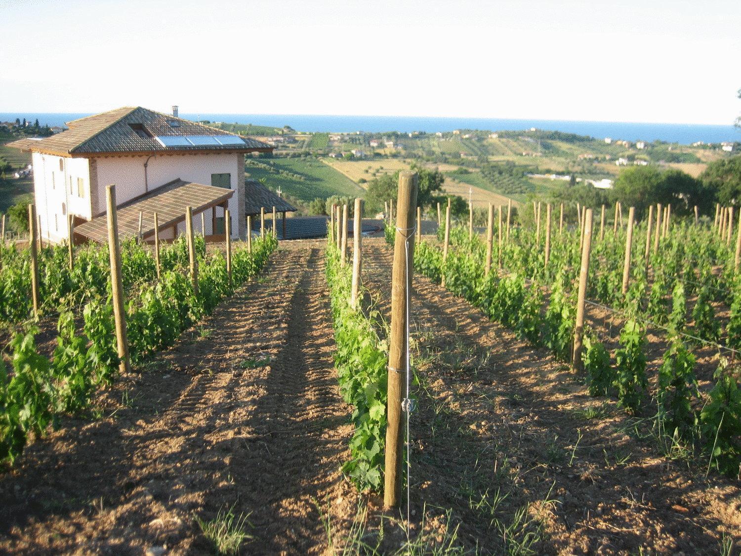 L'Orso E L'Ape B&B Giulianova Buitenkant foto